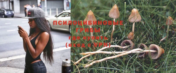 трава Алзамай